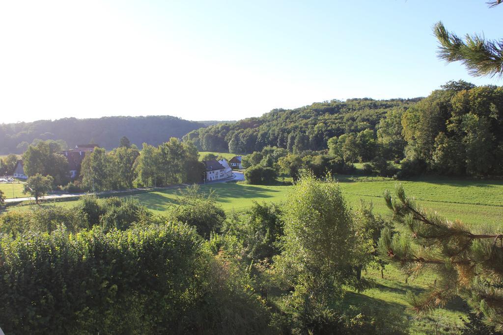 Hotel Haus Kallenberg Herbrechtingen Værelse billede